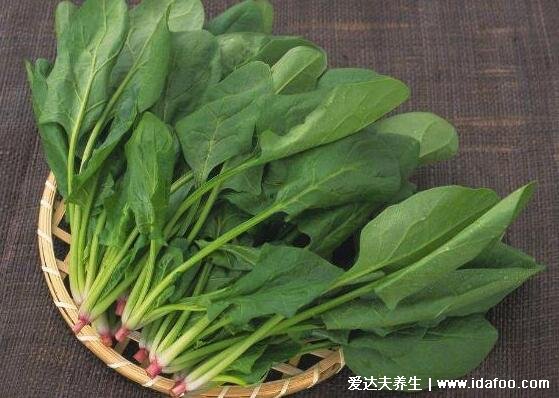 菠菜不能和什么一起吃，10大菠菜相克的食物(豆制品也在其中)