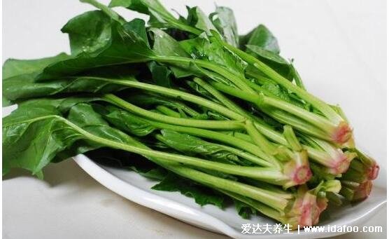 菠菜不能和什么一起吃，10大菠菜相克的食物(豆制品也在其中)