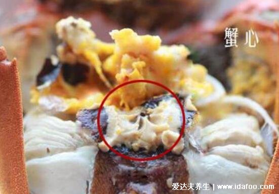 吃螃蟹不能吃什么，螃蟹食物相克表(忌与柿子同食)