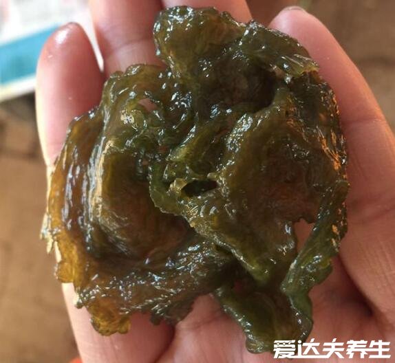 地皮菜的作用和功效，是预防老年痴呆非常好的野菜(图片)