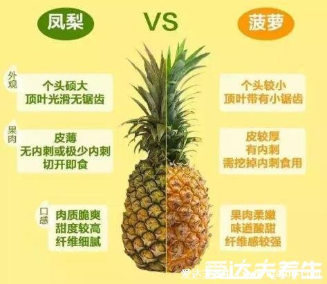 凤梨要用盐水泡吗，可以不用但盐水泡提升口感(注意凤梨和菠萝的区别)