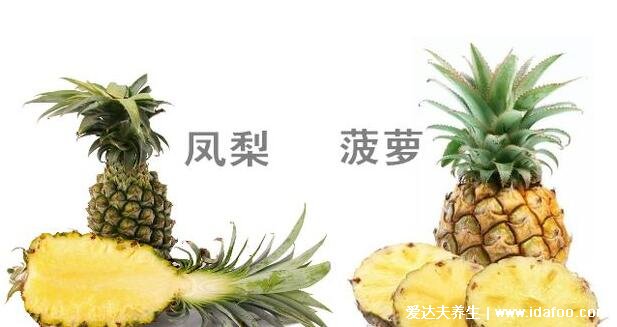 凤梨要用盐水泡吗，可以不用但盐水泡提升口感(注意凤梨和菠萝的区别)