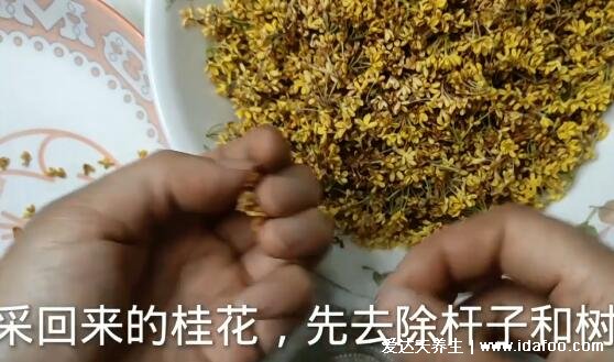 桂花蜜的做法，快看从桂花采摘后到加入蜂蜜的全部过程(附视频步骤)