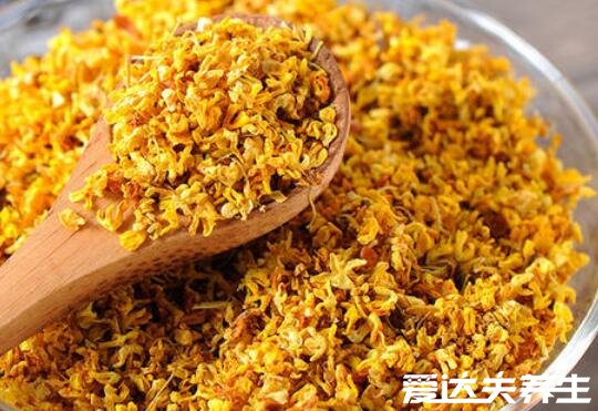 桂花泡水喝的9大禁忌，最主要的是不可以过量饮用