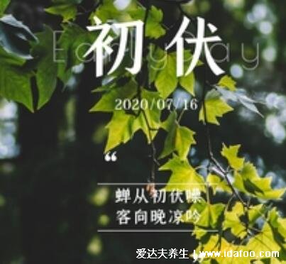 2021年三伏天时间表图片，今年三伏天具体时间如下(7.11-8.19)