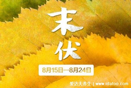 2021年三伏天时间表图片，今年三伏天具体时间如下(7.11-8.19)