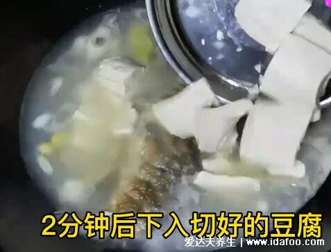 鲫鱼汤怎么炖好喝又营养，超详细鲫鱼豆腐汤视频做法(水要一次加够)