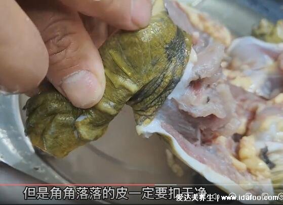 甲鱼怎么杀正确方法视频，8个步骤尾巴很脏要扣洗干净