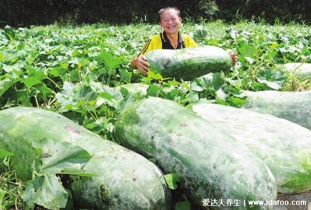 降血压的十种最佳食物，这些常见蔬菜水果都超级降压