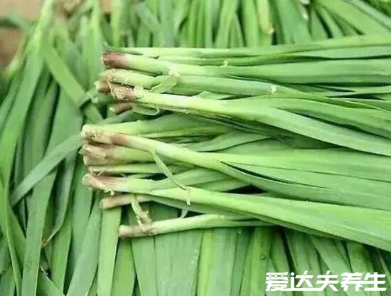 韭菜加醋能补肾壮阳吗，不仅壮阳补肾还能消炎杀菌