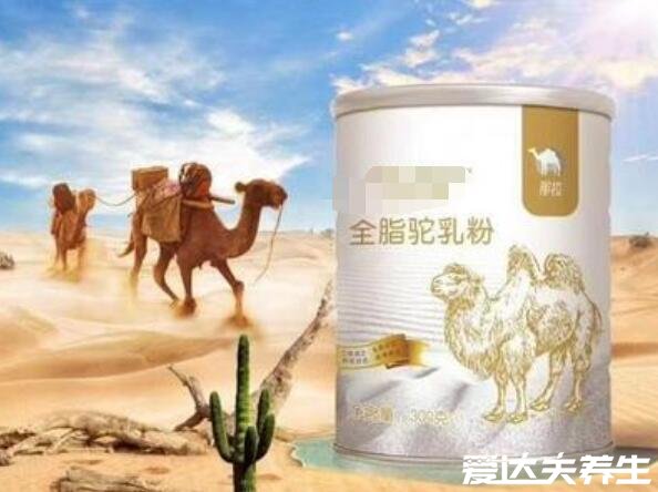 骆驼奶粉的功效和作用，强身健体营养价值是牛奶的n倍