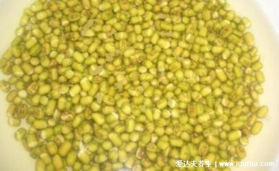 绿豆芽怎么发豆芽的步骤，只需一个饮料瓶5个步骤超简单