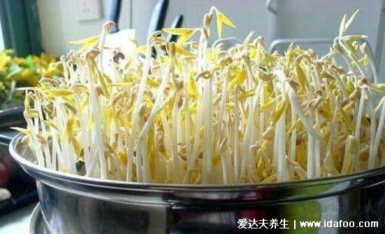 绿豆芽怎么发豆芽的步骤，只需一个饮料瓶5个步骤超简单