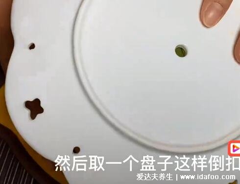 芒果怎么切好看又简单，用盘子和牙签切出好看芒果(附视频图片)