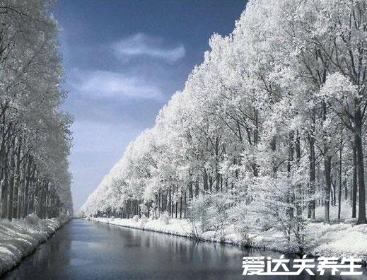 大雪节气的含义是什么，天气变冷要下大雪（附大雪养生事项）