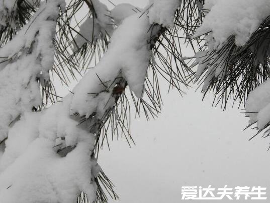 大雪节气的含义是什么，天气变冷要下大雪（附大雪养生事项）