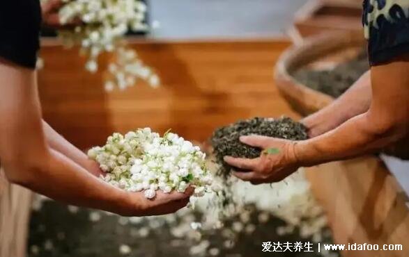 茉莉花茶的功效与禁忌，注意茉莉花茶6种人不要喝