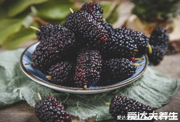 女人吃桑葚的禁忌，怀孕的女人不宜吃(空腹食用小心肠胃不适)