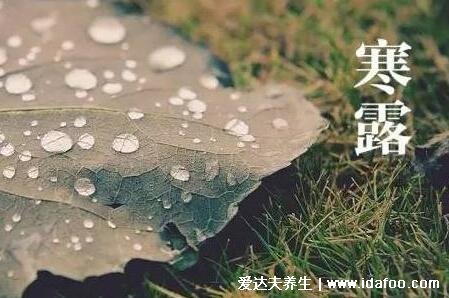 寒露节气的含义是什么意思，气温降低及时添衣(进入深秋了)