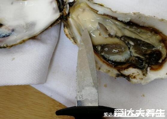 生蚝怎么开壳，3种方法教你开壳可借助生蚝刀微波炉(有视频及图解)