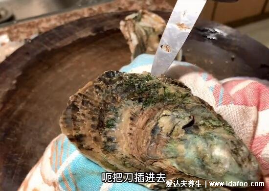 生蚝怎么开壳，3种方法教你开壳可借助生蚝刀微波炉(有视频及图解)