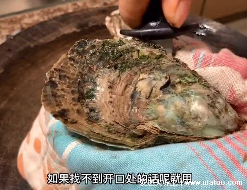 生蚝怎么开壳，3种方法教你开壳可借助生蚝刀微波炉(有视频及图解)