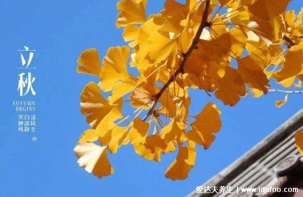 立秋意味着什么意思，夏天已过天气逐渐凉爽(立秋吃的传统食物)