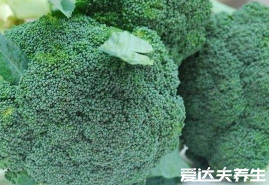  西兰花和大枣的功效与作用及营养价值，都美容养颜属于相生食物