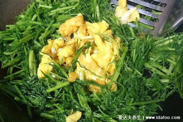 小茴香怎么吃做法大全，茴香馅的饺子味道绝了(图片)