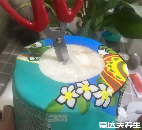 椰子怎么打开怎么吃果肉，不同椰子的多种打开方式图解